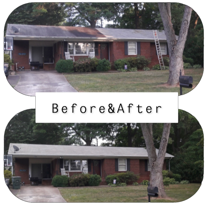 Roof Cleaning